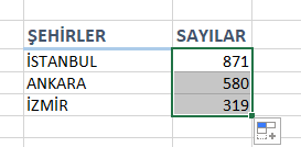 Formül Yapıştırma
