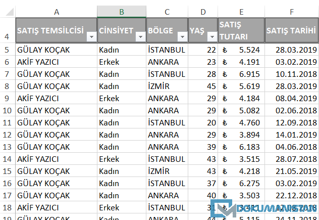 Özet Tablo Örnek Verisi