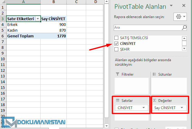 Özet Tablo Cinsiyet Yüzde Hesaplama
