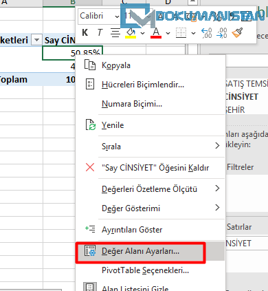 ÖzetTablo Değer Alanı Ayarları