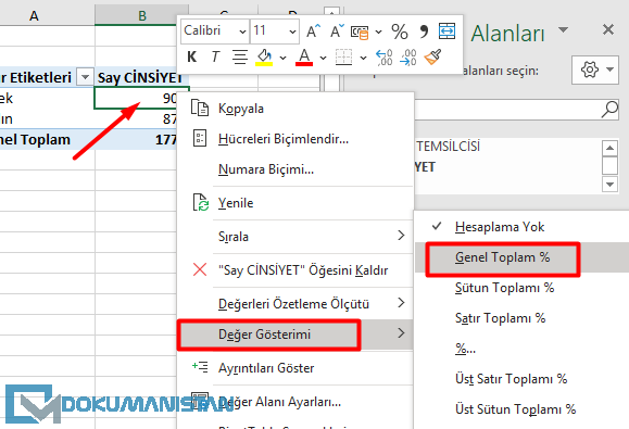 ÖzetTablo Değer Gösterimi Yüzde