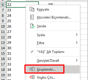 Sayısal Veri Sağ Tuş Gruplandır
