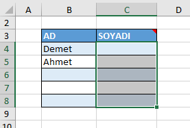 Veri Doğrulama Seçim