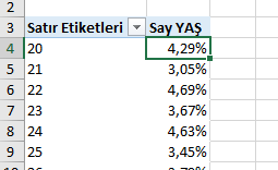 Yaş Grubu Yüzde Oranı