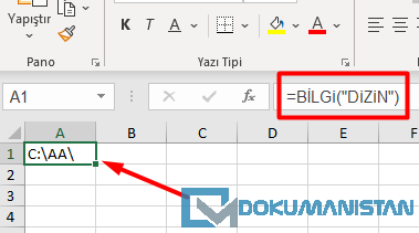Bilgi Fonksiyonu Dizin