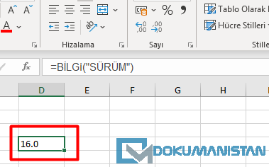 Bilgi Fonksiyonu Sürüm