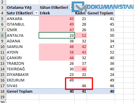 Özet Tablo Koşullu Biçimlendirme Hatalı İşlem