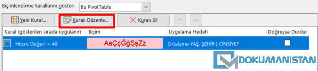 Koşullu Biçimlendirme Kuralları Düzenle