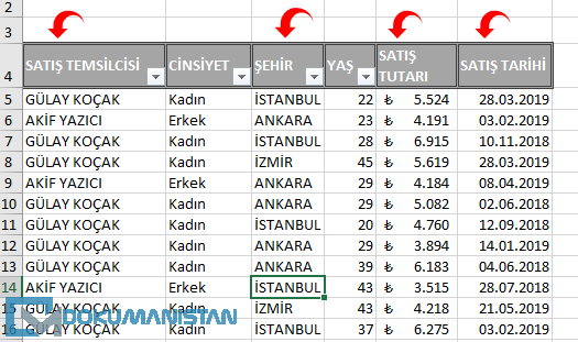 Özet Tablo Gruplama Verisi