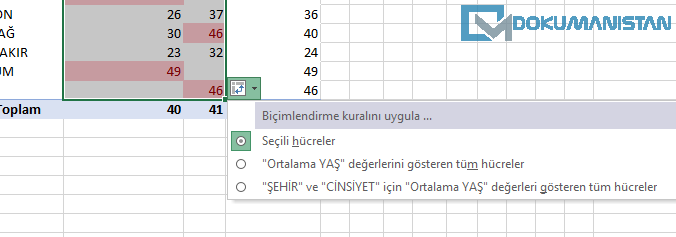 Özet Tablo Koşullu Biçimlendirme Kuralları