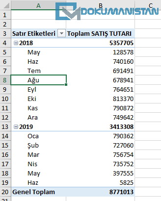 ÖzetTablo Tarihsel Gruplama Sonucu