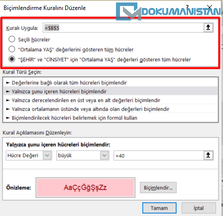 Özet Tablo Koşullu Biçimlendirme Detayı