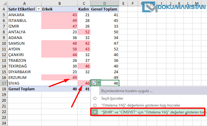Özet Tabloyu Koşullu Biçimlendirmeyi Bağlama Kontrolü
