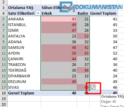 Özet Tabloyu Koşullu Biçimlendirmeye Bağlama