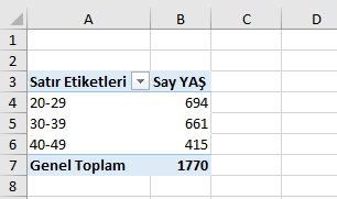 Sayısal Veri Gruplama Sonucu