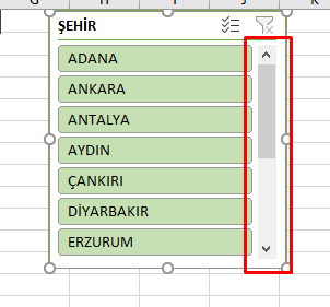 Dilimleyici İki Sütun olarak Gösterme