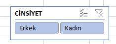 Dilimleyici Yatay Sütun Örneği