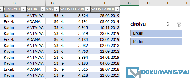 Dilimleyici ve Zaman Çizelgesi ile Filtreleme Arasındaki Fark