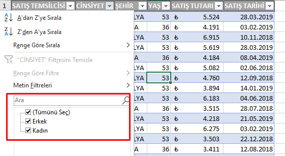 Dilimleyici ve Zaman Çizelgesi ile Filtreleme Arasındaki Fark