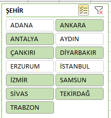 Excel Dilimleyici Çoklu Seçim 2