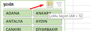 Excel Dilimleyici Çoklu Seçim-1