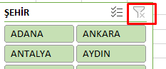 Excel Dilimleyici Çoklu Seçim 2