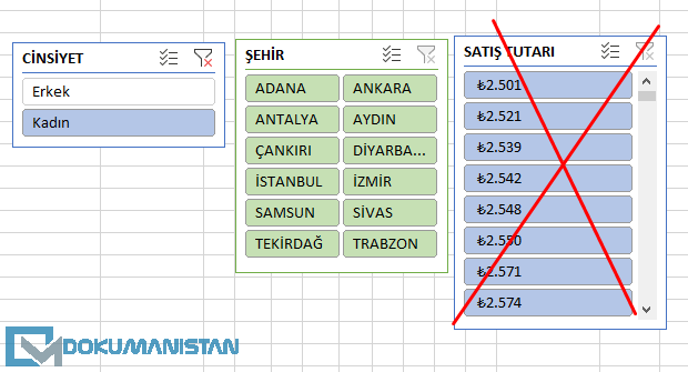Excel Dilimleyici ile Doğru Tercih Yapma