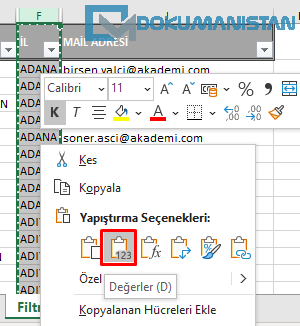 Özel Yapıştır Değerleri