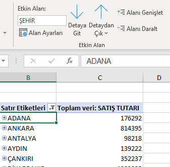 PivotTable Analizi Etkin Alan
