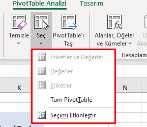 PivotTable Analizi Seç Alanı