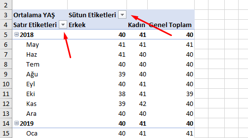 PivotTable PivotChart Dilimleyici Kullanımı