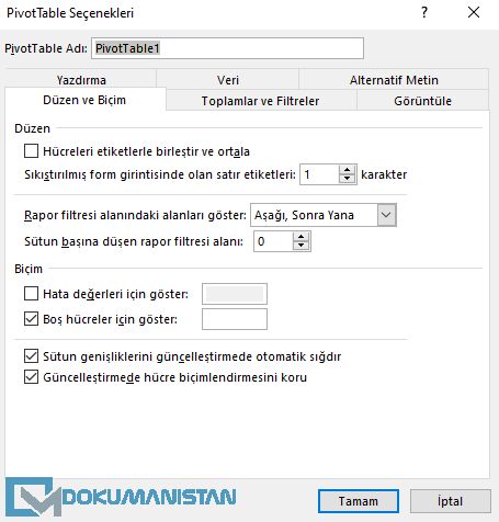 PivotTable Seçenekleri - Düzen ve Biçim