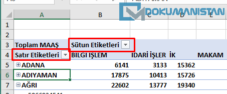 PivotTable Satır Etiketi Sütun Etiketi yerleri