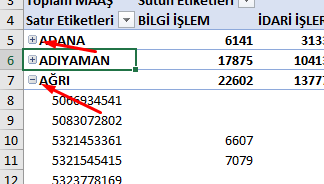 PivotTAble Düğmeler Görseli