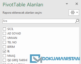 PivotTable Alanları