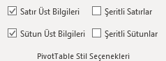 PivotTable Tasarım Stil Seçenekleri