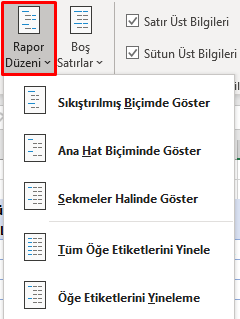 Rapor Düzeni