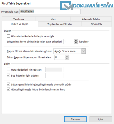 PivotTable Seçenekleri