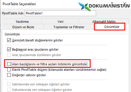 Görüntüle Sekmesi - Alan Başlıklarını ve Filtre Açılan Listeleri Görüntüle Seçimi