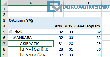Alan Başlıklarını ve Filtre Açılan Listeleri Görüntüle Sonucu