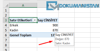 Bağlamsal Araç İpuçlarını Göster