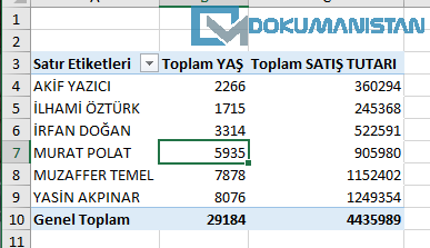 Değerler Satırını Göster Seçimi Sonucu