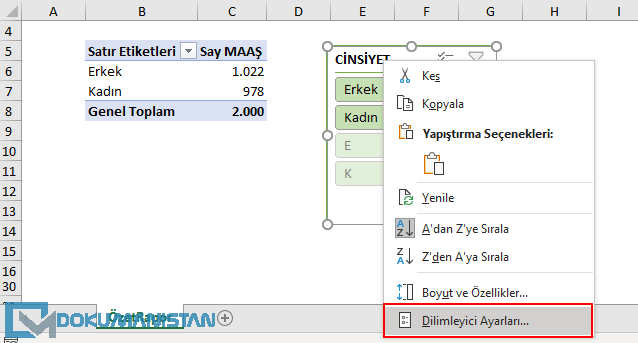 Dilimleyici Ayarları