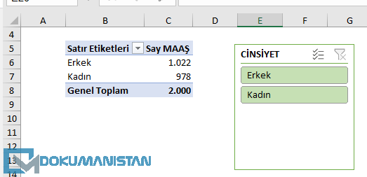 Dilimleyicide olmayan verileri Silme Çözümü