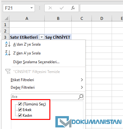 Eski değerleri PivotTable Filtrelerinden Kaldırmanın Çözümü
