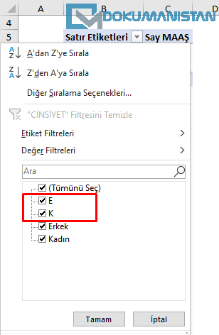 Eski değerleri PivotTable Filtrelerinden Kaldırın