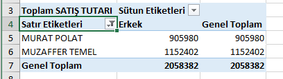Etiket Filtreleri Sonucu