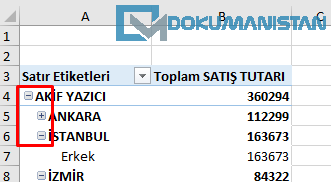 Genişle - Daralt Düğmelerini Göster
