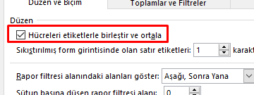 Hücreleri etiketlerle birleştir ve ortala-2