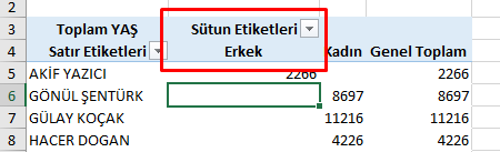 Hücreleri etiketlerle birleştir ve ortala-3